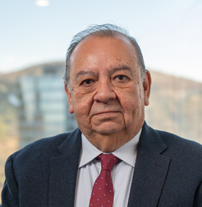 Alejandro Tejerina Olivares